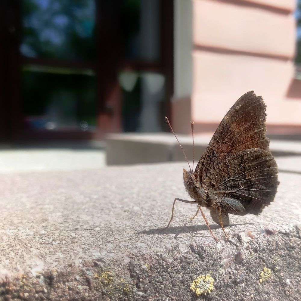 Фотография автора Геннадий Ломеко