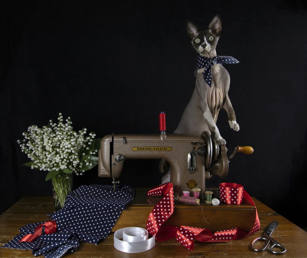 Photograph by Татьяна Феденкова