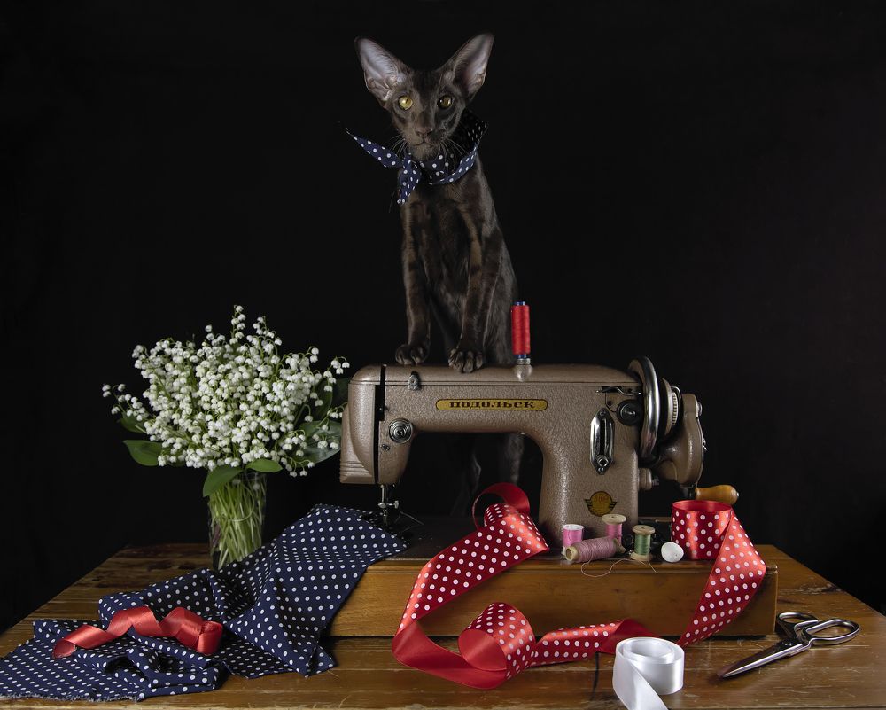 Photograph by Татьяна Феденкова