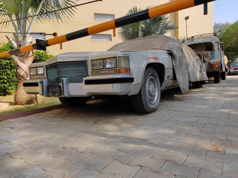 Photograph by Ritu Dinkar