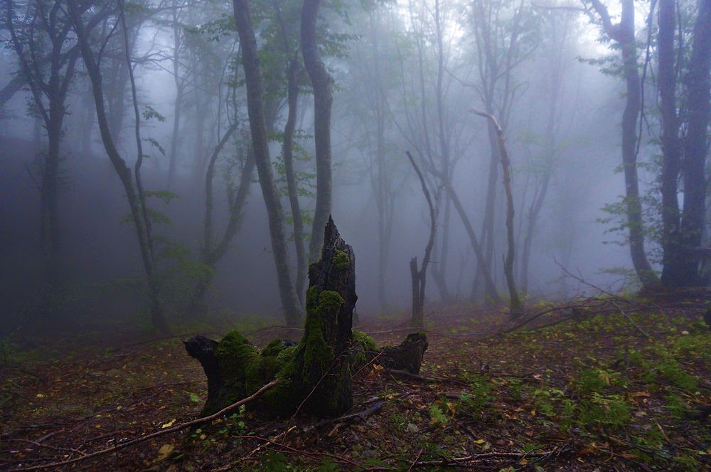 Photograph by Вадим Карпов