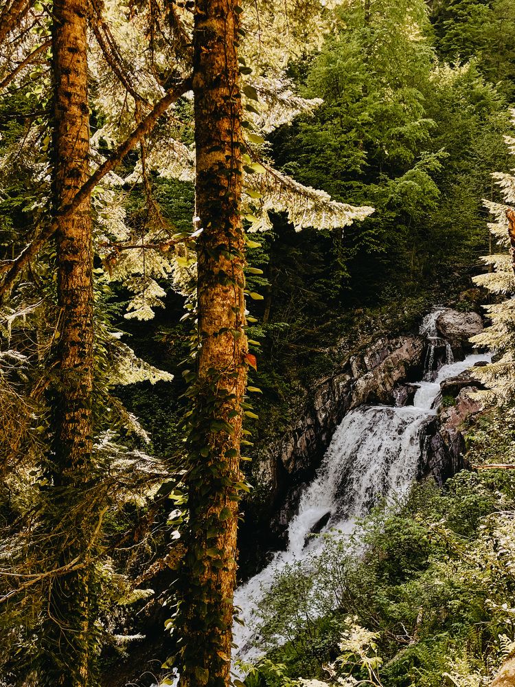 Фотография автора Oxana Yurasova