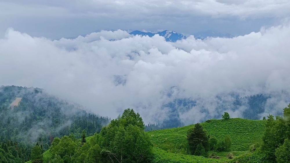 Photograph by Виталий Мартынов