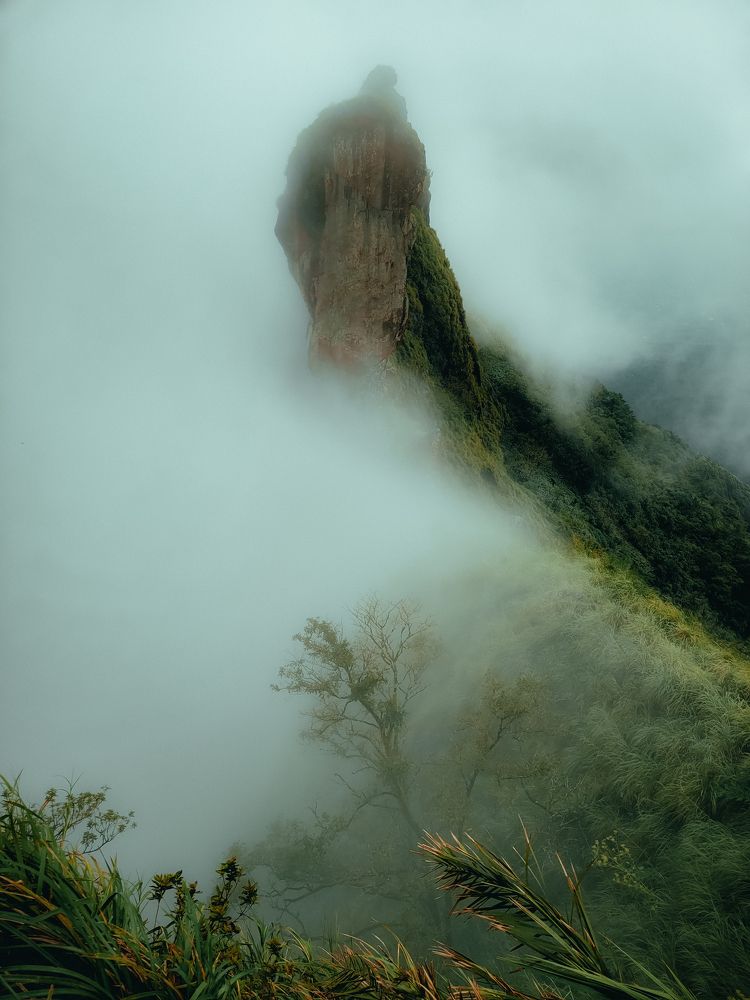 Photograph by Ashiq P F Mohammed