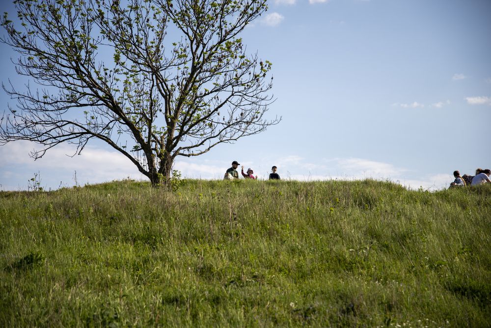 Photograph by Наталья Сергеевна Крылова