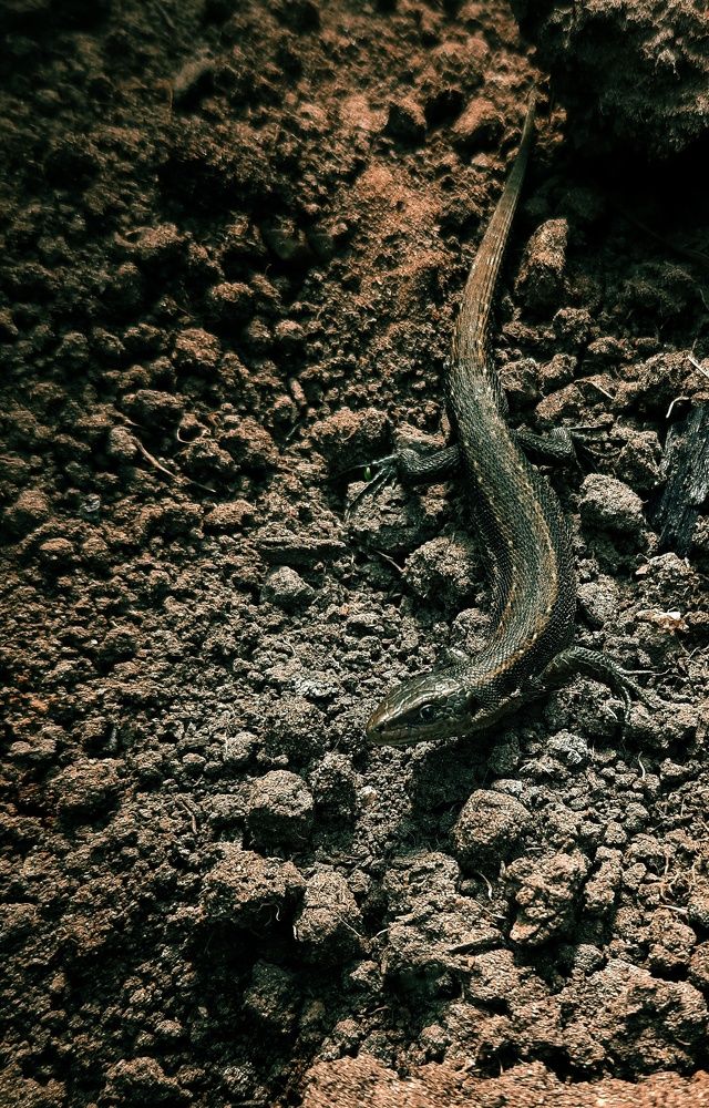 Фотография автора Ольга Кунакова