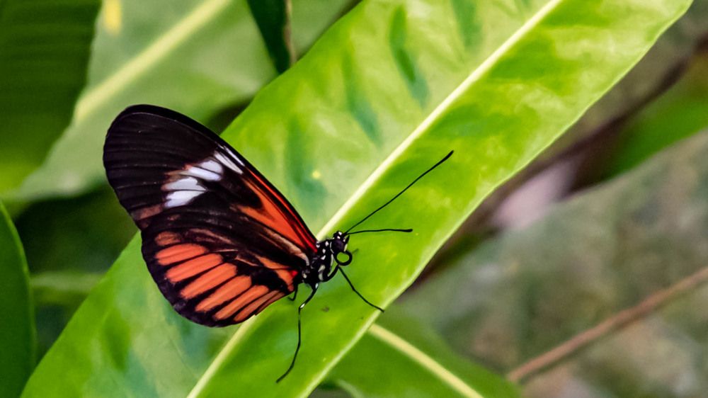 Photograph by Shubham Gupta