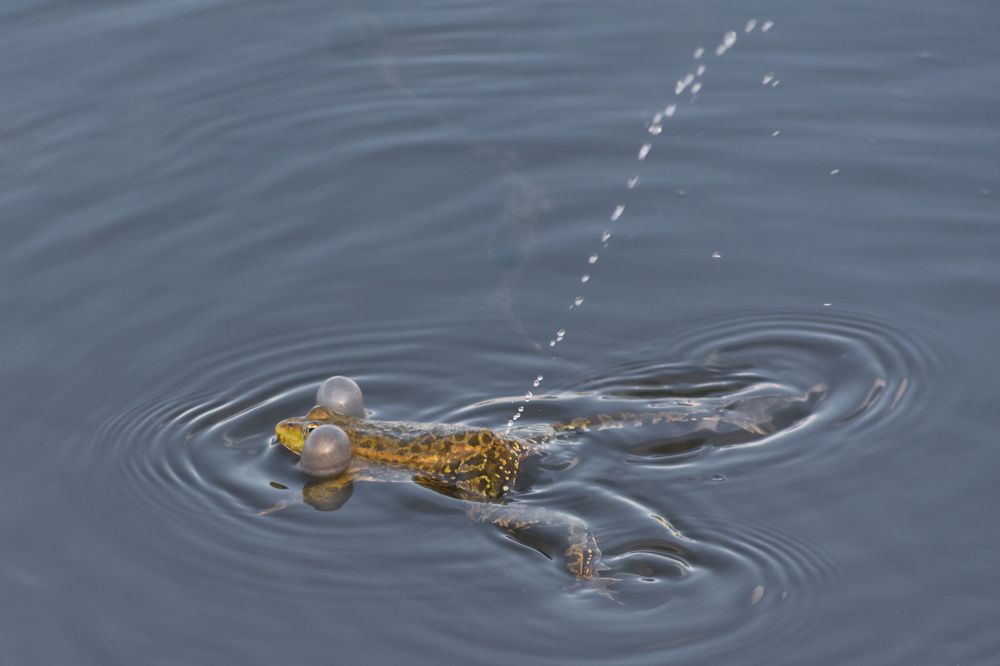 Photograph by Олег Бережных