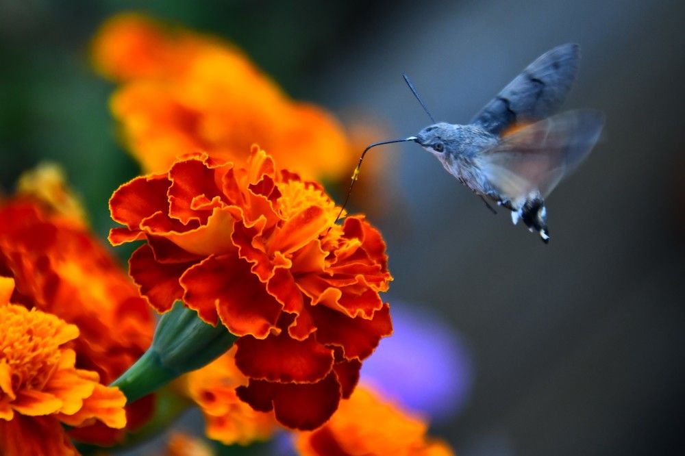 Photograph by Александр Лукьяненко