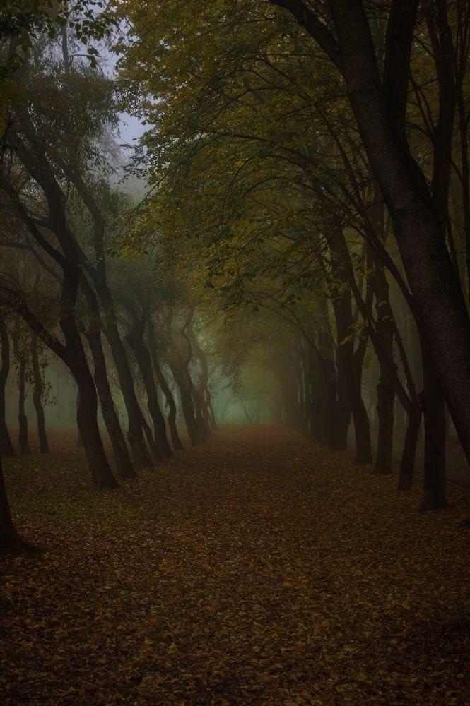 Photograph by Анастасия