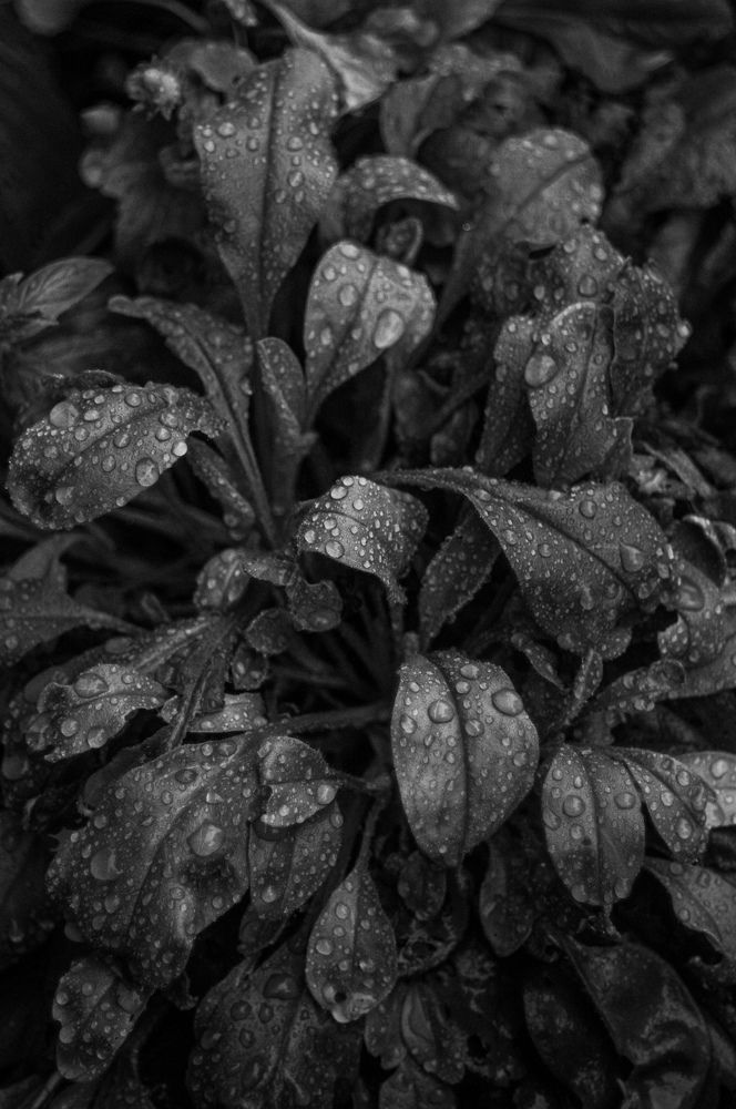 Photograph by Анастасия