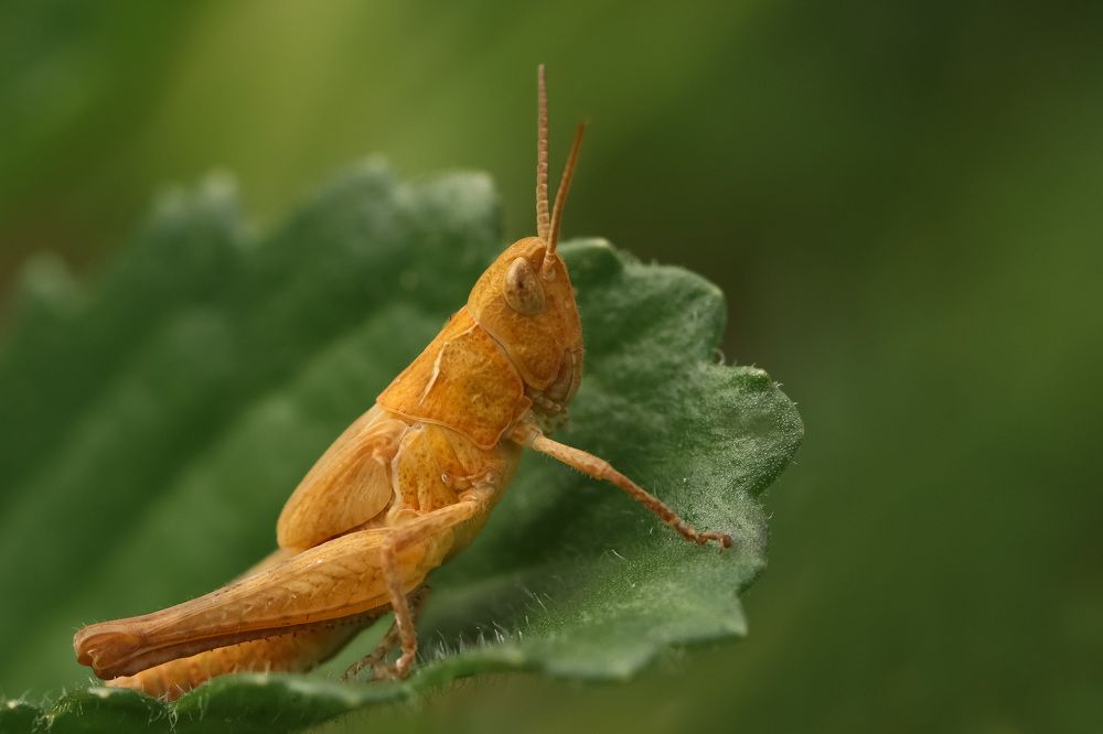 Photograph by Наталья Гайдукевич