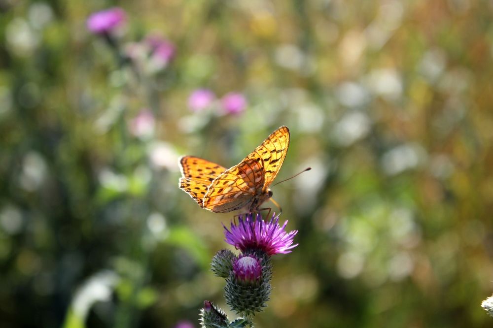 Photograph by Olga Bagaeva