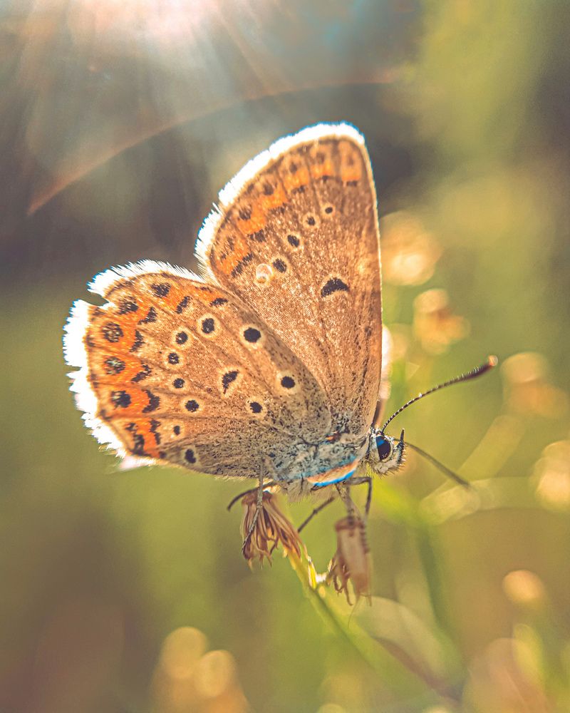 Photograph by Sergey Kolos