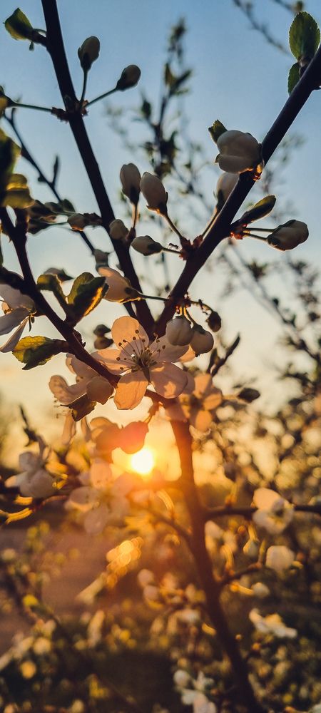 Photograph by Елена Никовырина