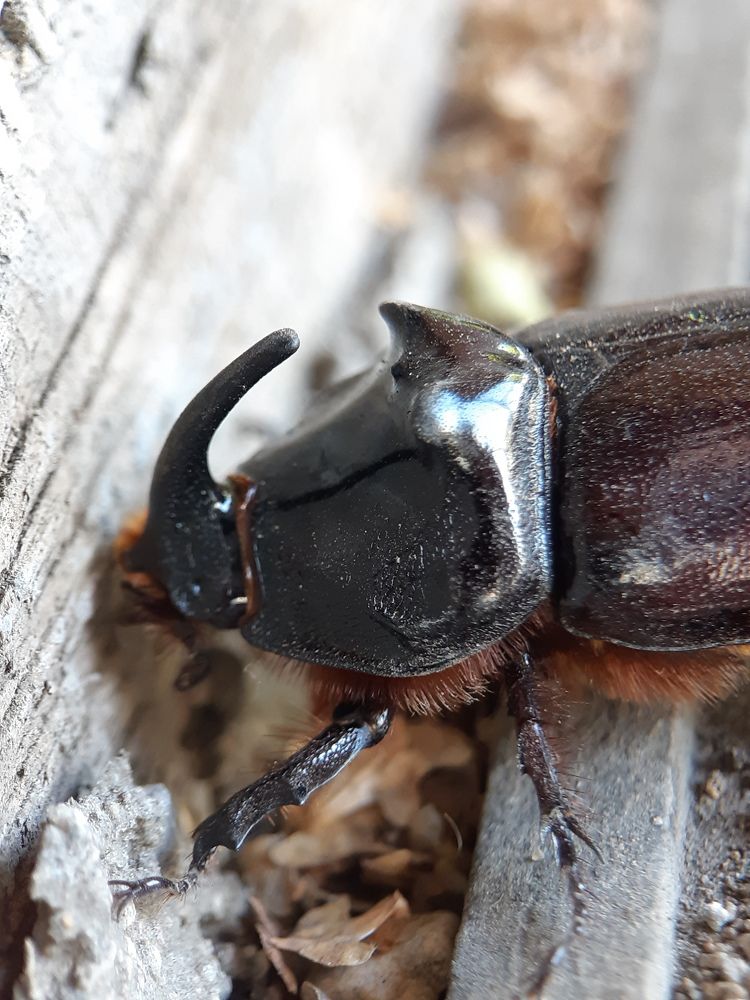 Photograph by Светлана Рогачева