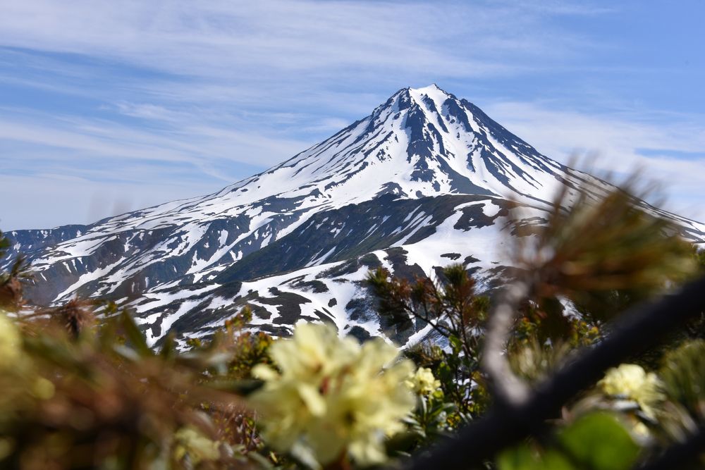 Фотография автора Лев Тишуров