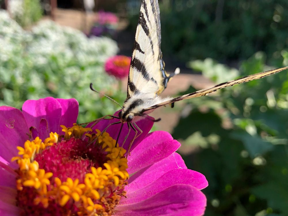 Photograph by Zulfira