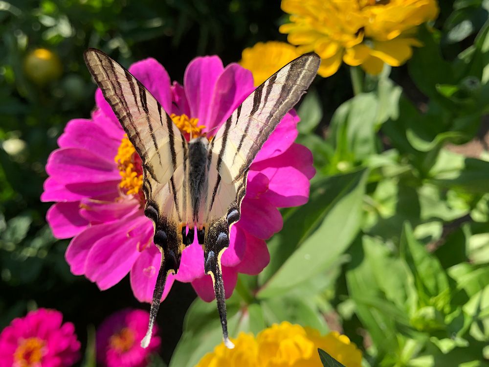 Photograph by Zulfira