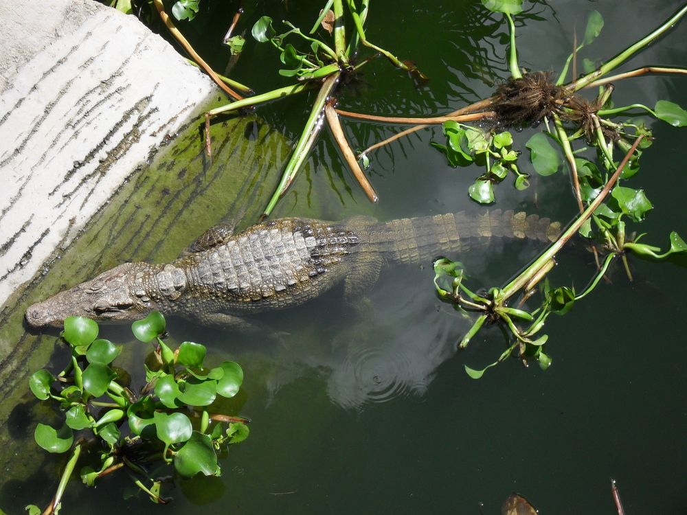 Photograph by Наталия