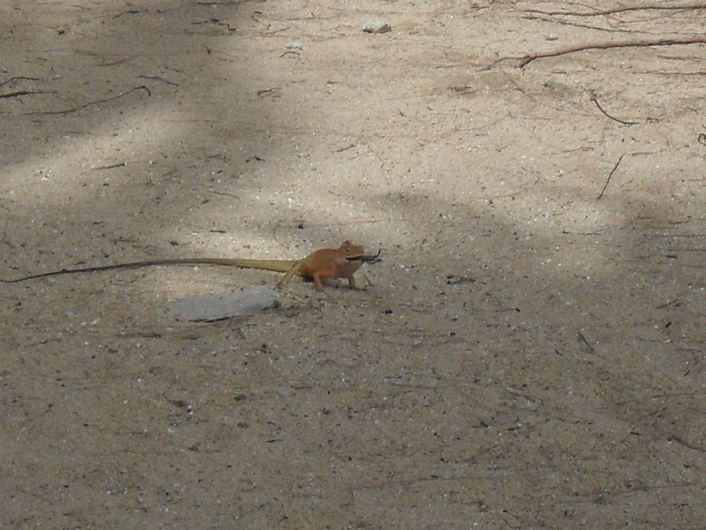 Photograph by Наталия