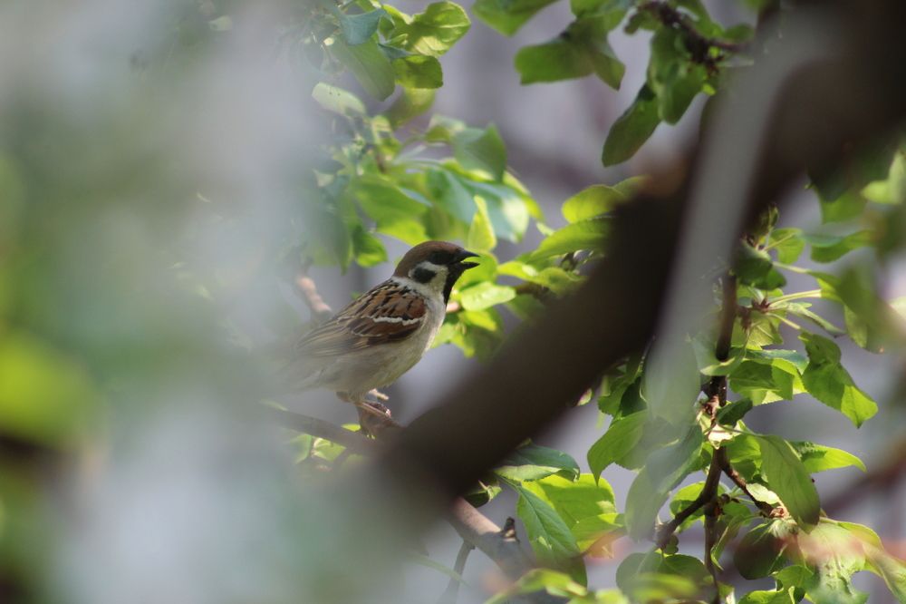 Photograph by Наталия