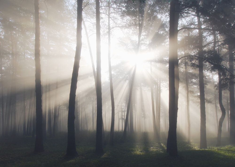 Photograph by Юрий Гау