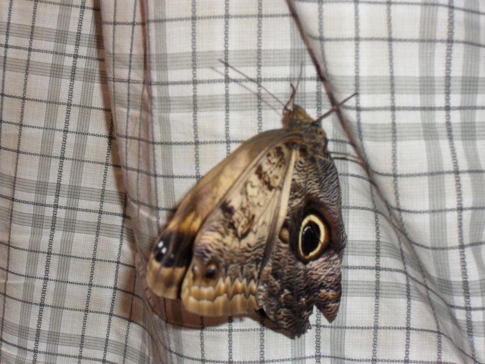 Photograph by Наталия