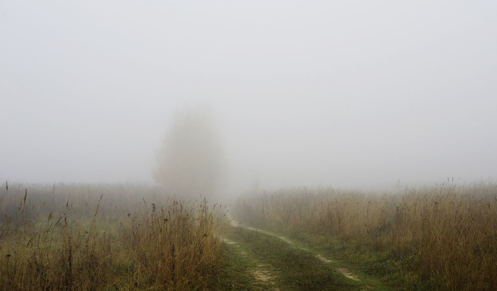 Photograph by Николай Алексеев