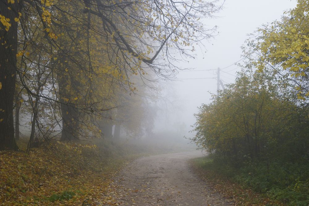 Photograph by Николай Алексеев