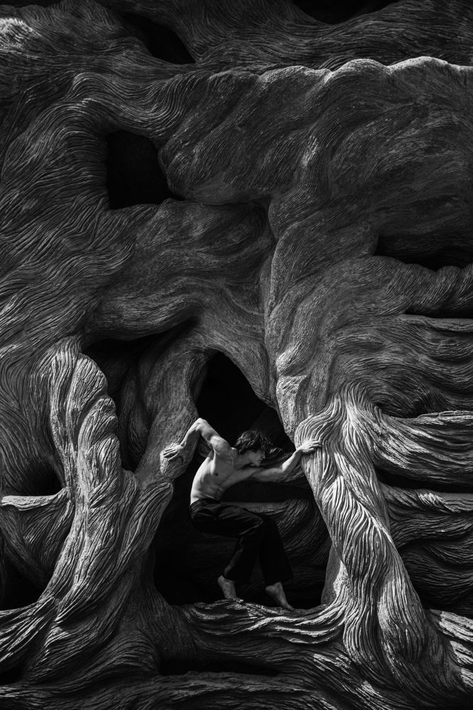 Photograph by Марина Щеглова