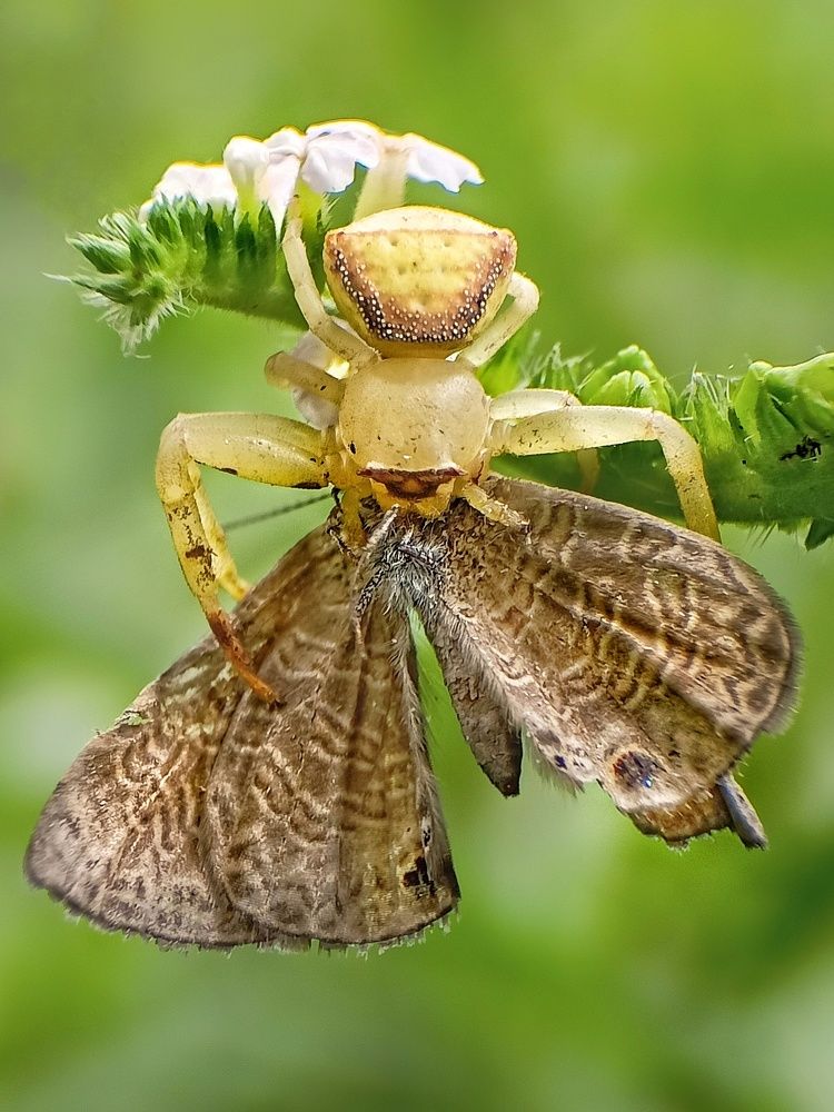 Photograph by Subhajit Jana