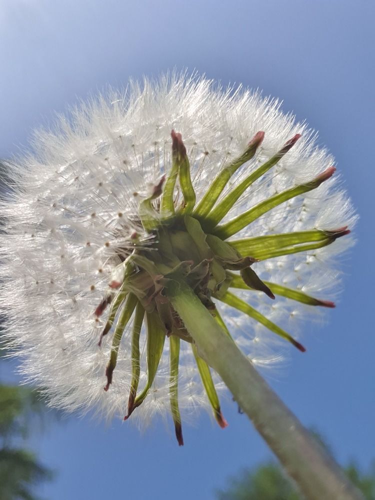 Photograph by Жанна Регор