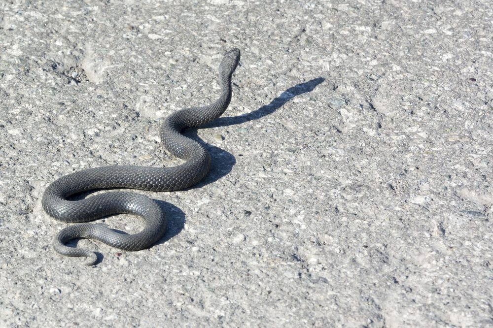 Photograph by Михаил Лавренков