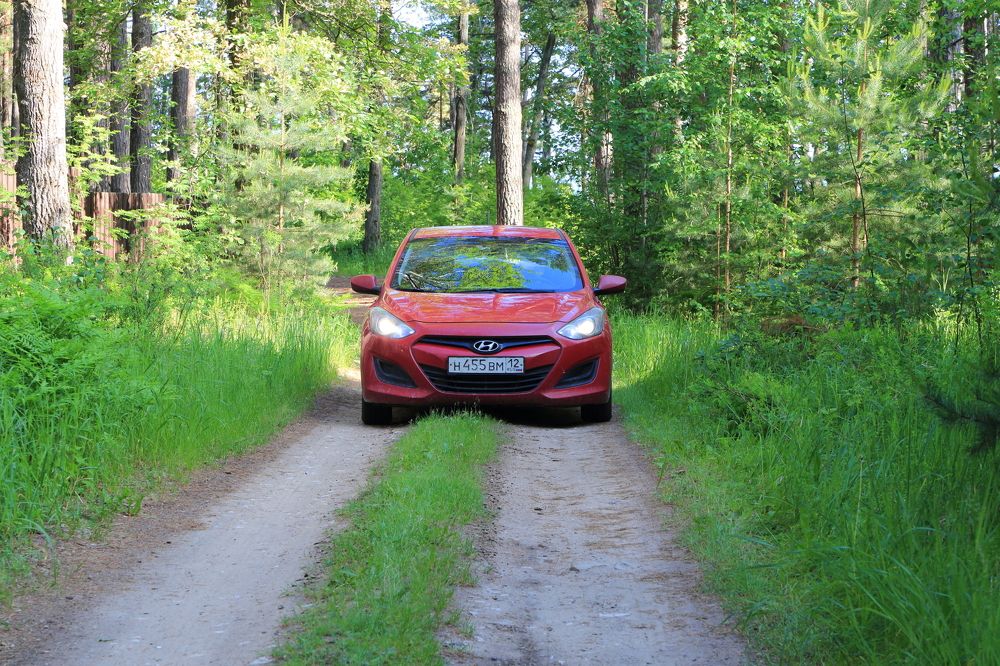 На тропках в лесу