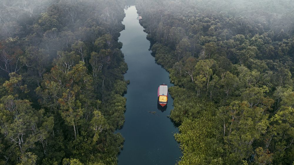 Фотография автора Anil Prabhakar