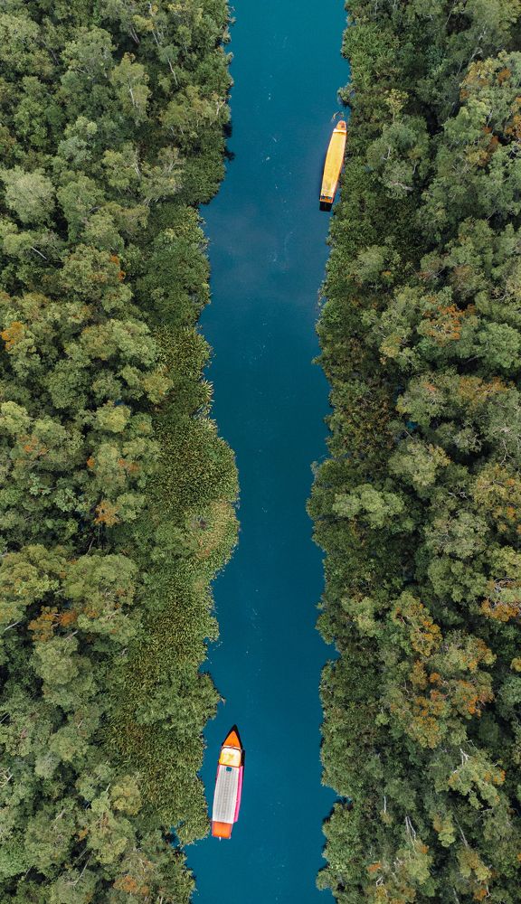 Фотография автора Anil Prabhakar