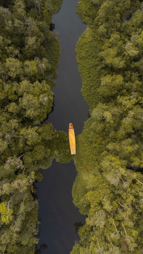 Фотография автора Anil Prabhakar