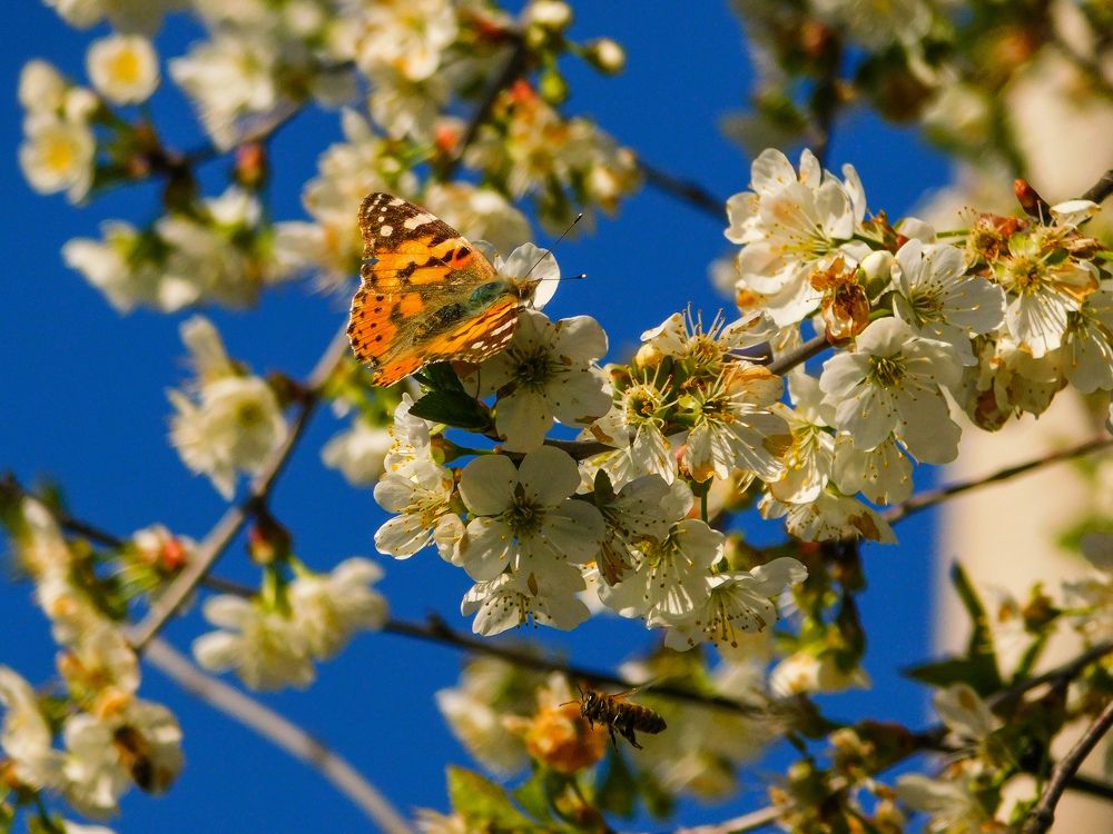 Photograph by Юлия Закопайло