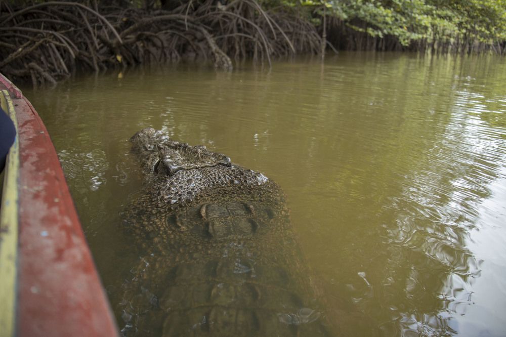 Фотография автора Anil Prabhakar