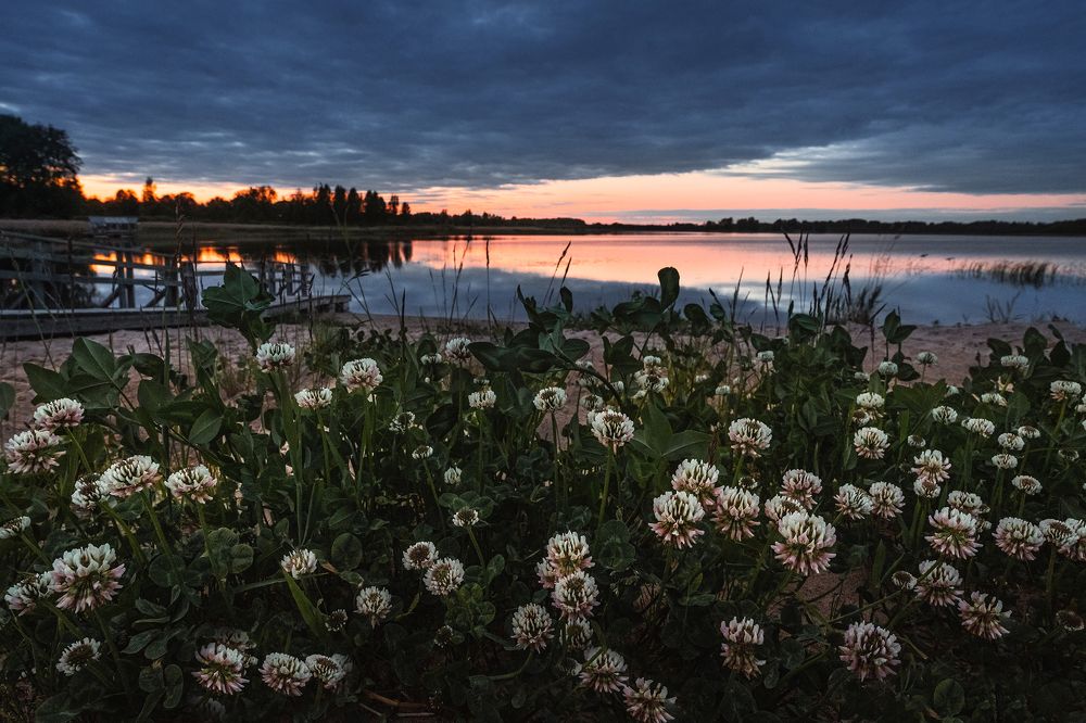 Photograph by Dace Spalvina