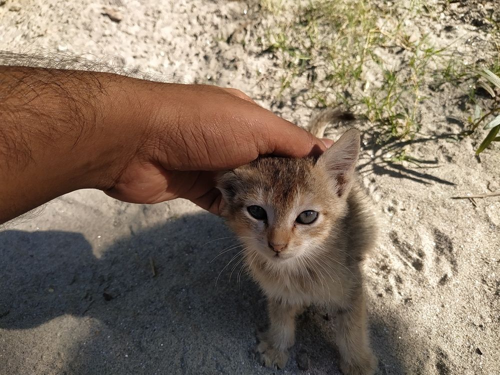 Photograph by Souvik De