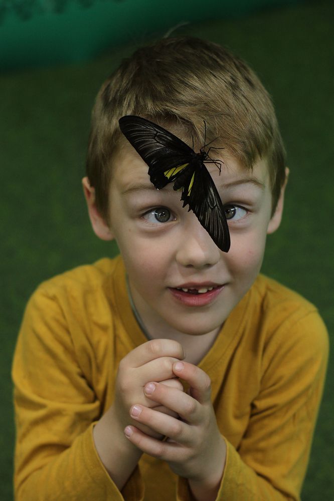 Photograph by Полина Ефимова