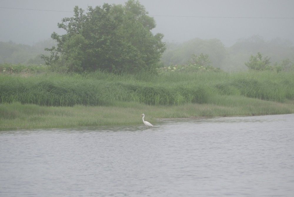 Фотография автора Olena Vorotyntseva