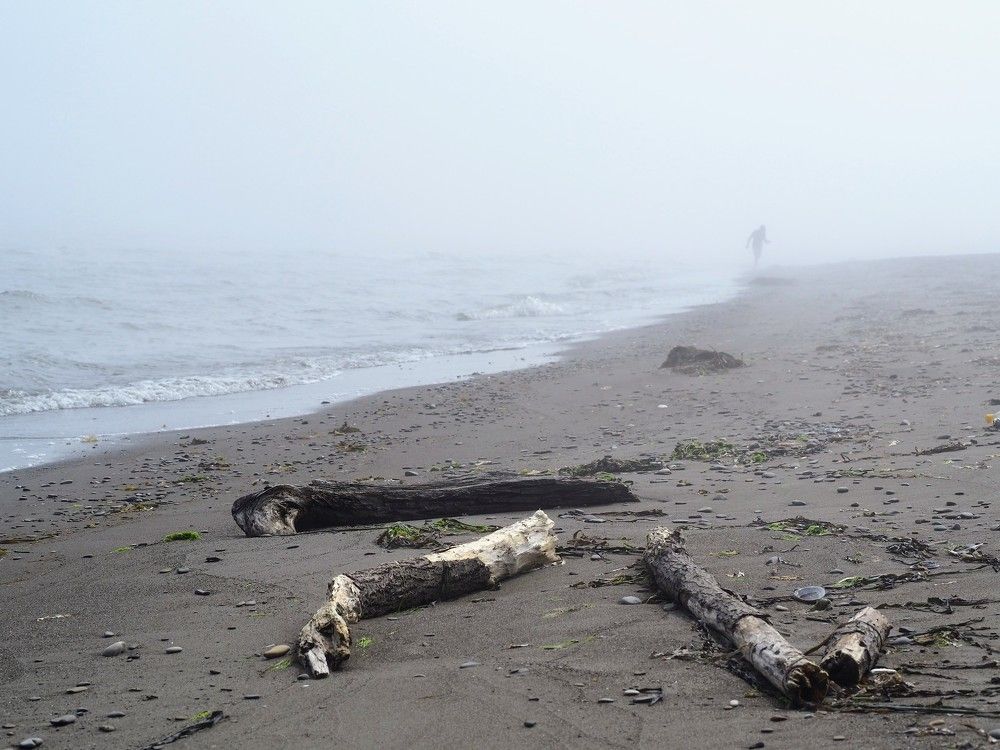 Фотография автора Olena Vorotyntseva