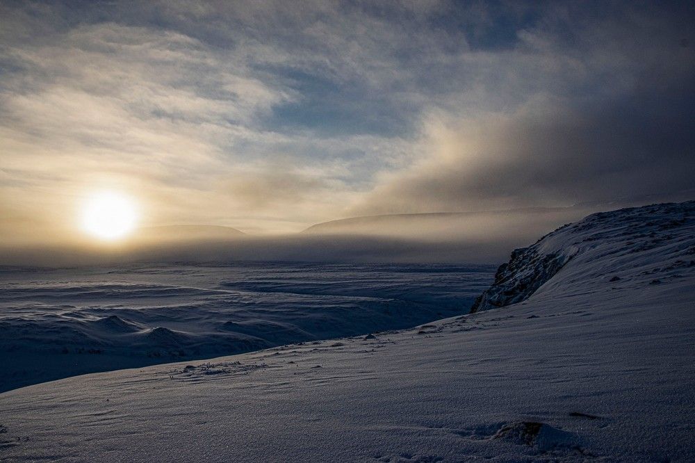 Photograph by Алексей Логинов