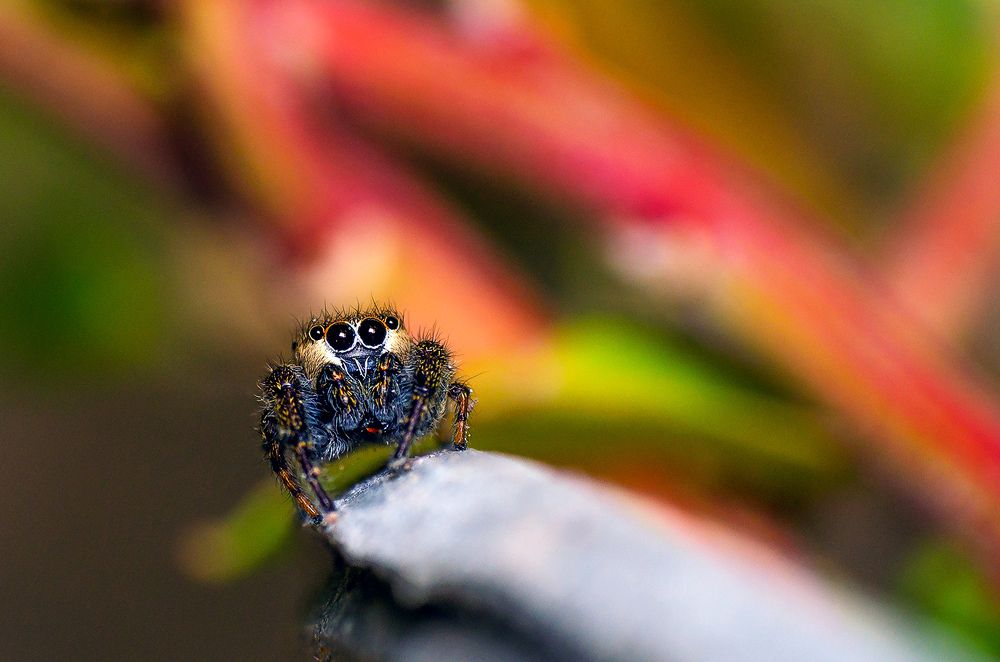 Photograph by Sahar Jafari