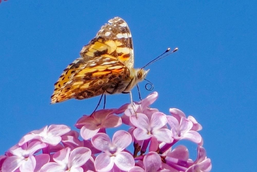 Photograph by IRINA KORNEVA