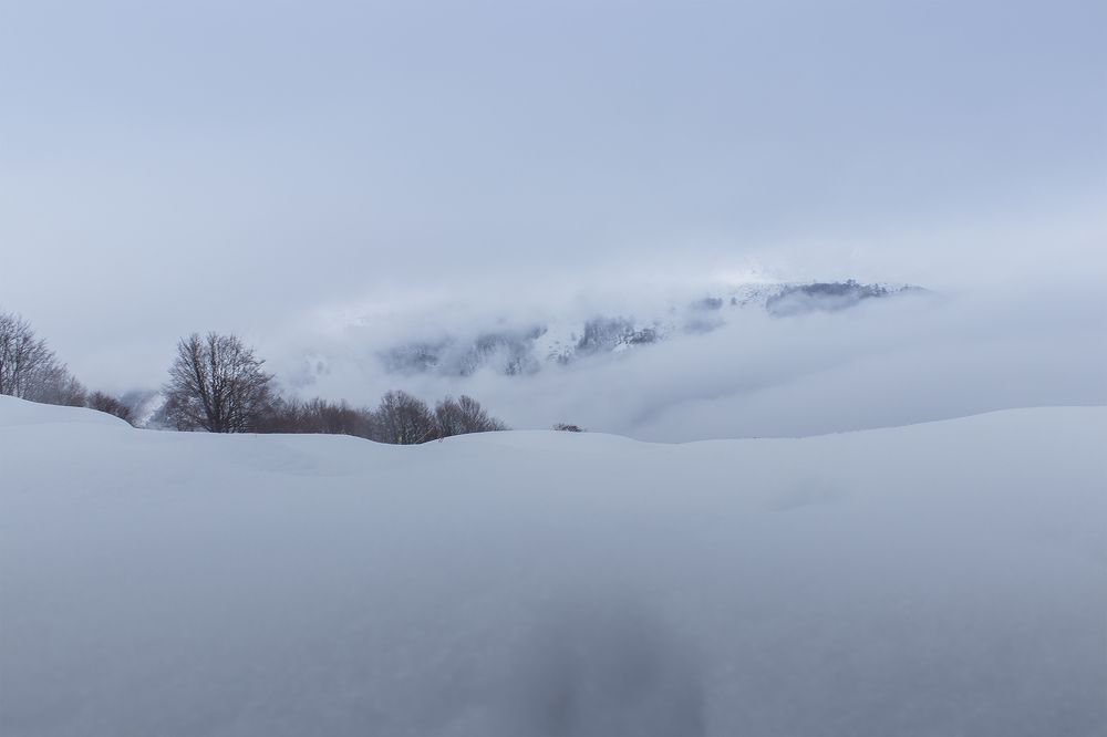 Photograph by Sajkovski Dejan