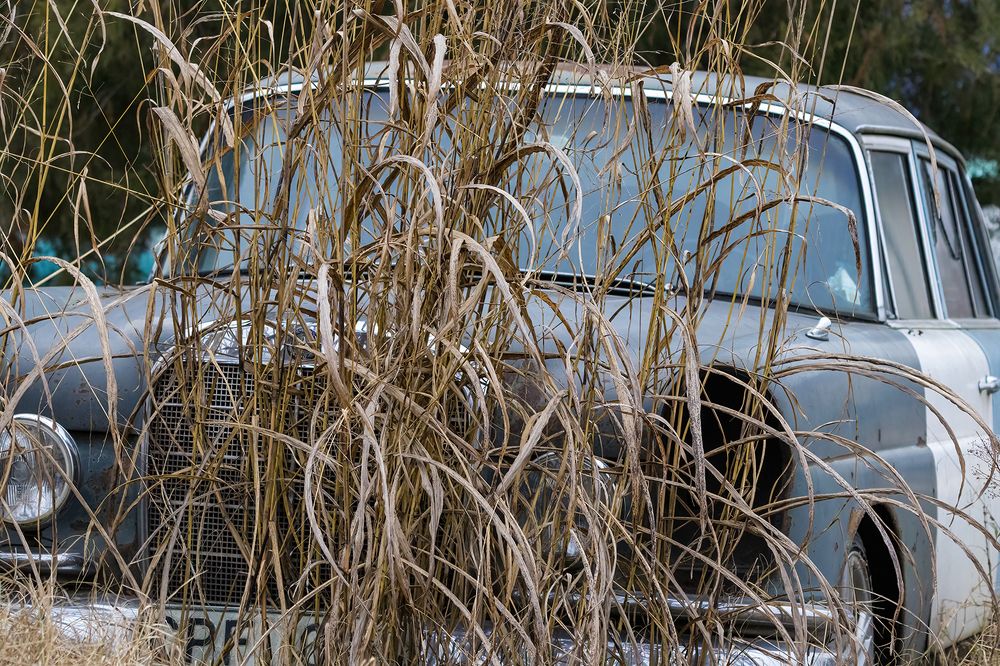 Photograph by Sajkovski Dejan